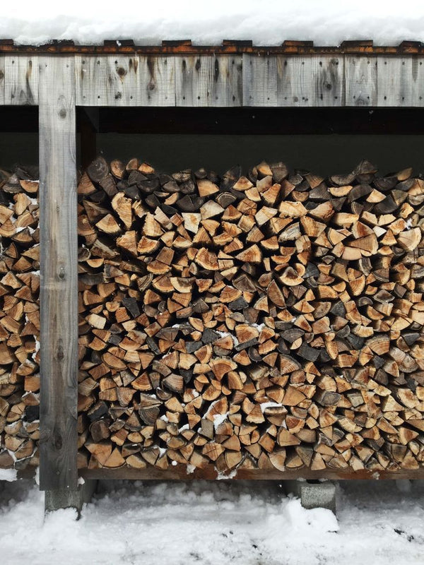 Brennholz richtig lagern: So bleibt Ihr Holz trocken