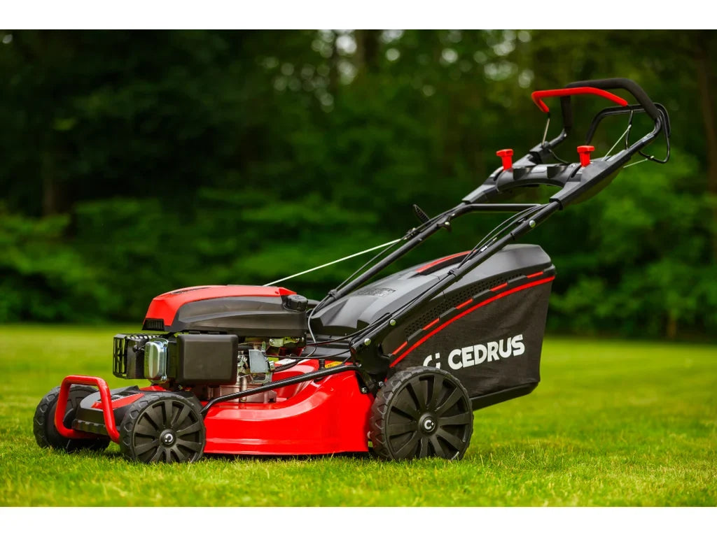 Hahn & Sohn Cedrus KS53S – Benzin-Rasenmäher mit Antrieb, Y196V OHV-Motor